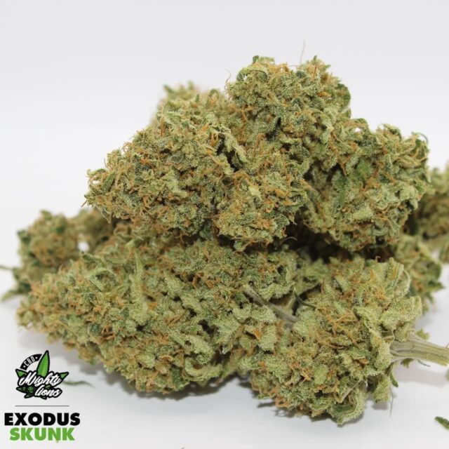 exodus skunk 5
