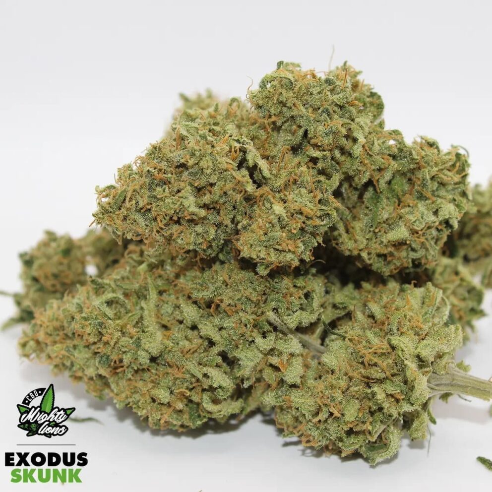 exodus skunk 5