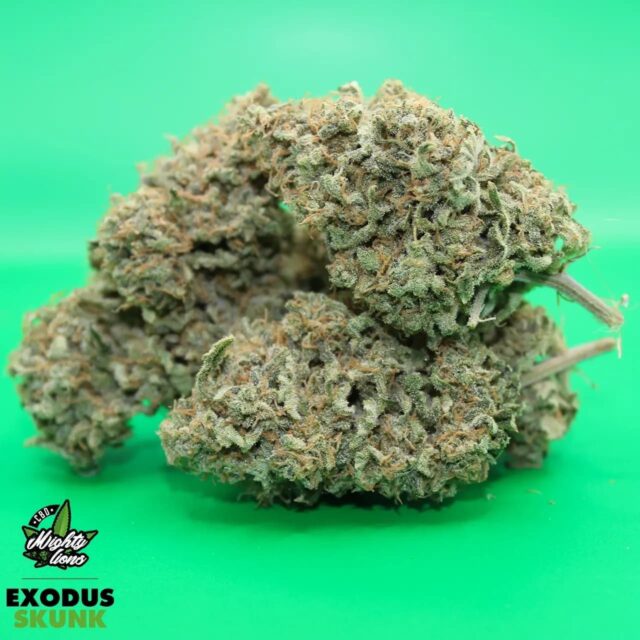 exodus skunk