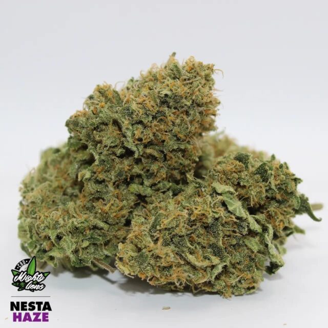 nesta haze