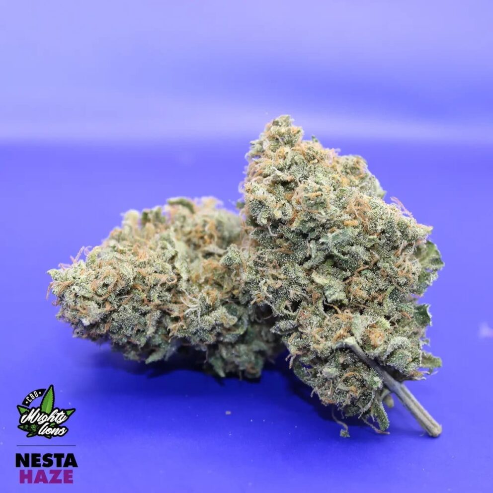 nesta haze 3 1