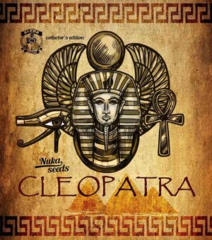 cleopatra cannabis seeds nukaseeds