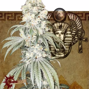 nuka seeds cleopatra (fem.)