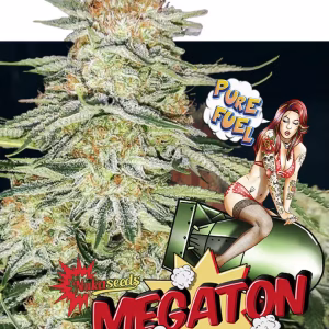 nuka seeds megaton (fem.)