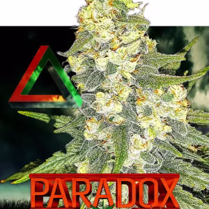 nuka seeds paradox (fem.)