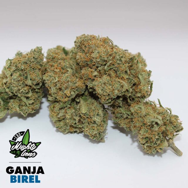 mighty-lions-cbd-ganja-birel