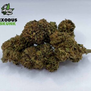 cbd exodus skunk (outdoor)