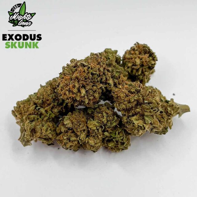 exodus skunk (outdoor)