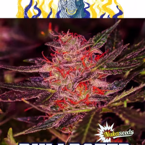 nuka seeds bulldozer