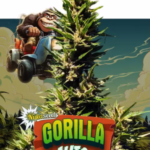 nuka seeds gorrila auto
