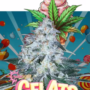 nuka seeds gelato