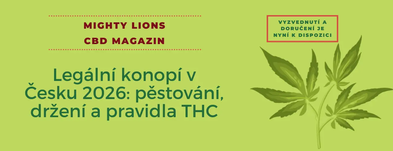 legální konopí v česku 2026 pěstování, držení a pravidla thc